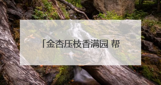 金杏压枝香满园 帮扶结出“幸福果”