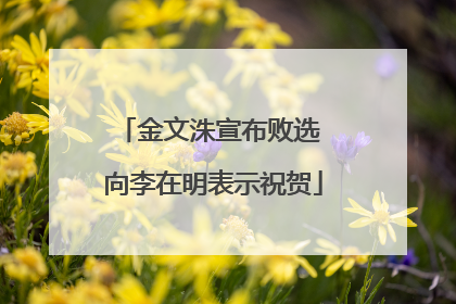 金文洙宣布败选 向李在明表示祝贺