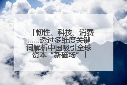 韧性、科技、消费……透过多维度关键词解析中国吸引全球资本“新磁场”