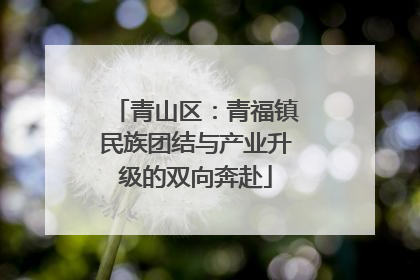 青山区：青福镇民族团结与产业升级的双向奔赴