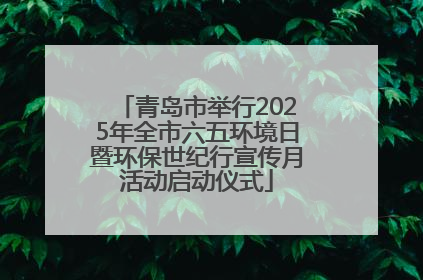 青岛市举行2025年全市六五环境日暨环保世纪行宣传月活动启动仪式