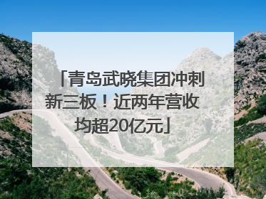 青岛武晓集团冲刺新三板！近两年营收均超20亿元