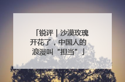 锐评｜沙漠玫瑰开花了，中国人的浪漫叫“担当”