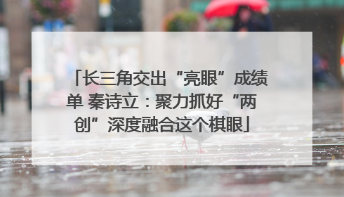 长三角交出“亮眼”成绩单 秦诗立：聚力抓好“两创”深度融合这个棋眼