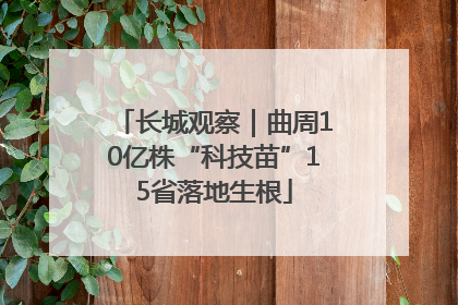 长城观察｜曲周10亿株“科技苗”15省落地生根