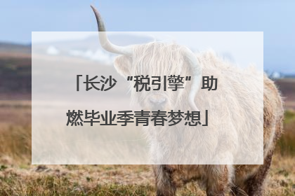 长沙“税引擎”助燃毕业季青春梦想
