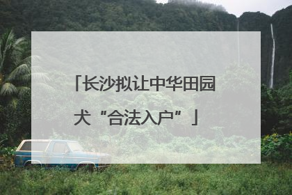 长沙拟让中华田园犬“合法入户”