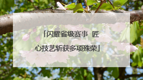 闪耀省级赛事  匠心技艺斩获多项殊荣