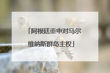 阿根廷重申对马尔维纳斯群岛主权