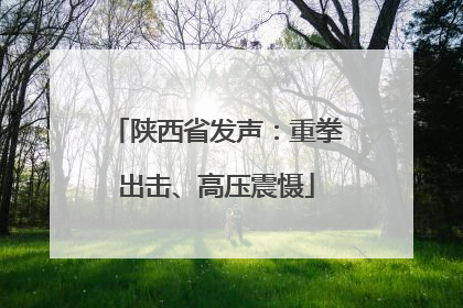 陕西省发声：重拳出击、高压震慑