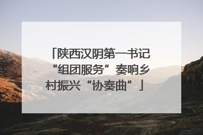 陕西汉阴第一书记“组团服务”奏响乡村振兴“协奏曲”