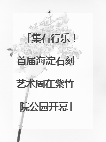 集石行乐！首届海淀石刻艺术周在紫竹院公园开幕