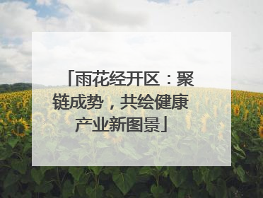 雨花经开区：聚链成势，共绘健康产业新图景