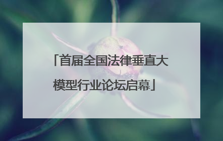 首届全国法律垂直大模型行业论坛启幕