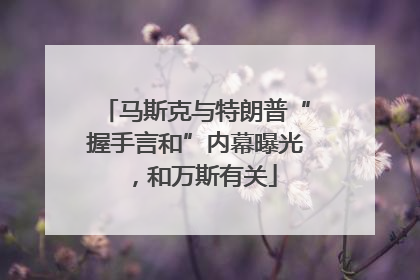 马斯克与特朗普“握手言和”内幕曝光，和万斯有关