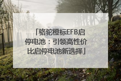 骆驼橙标EFB启停电池：引领高性价比启停电池新选择