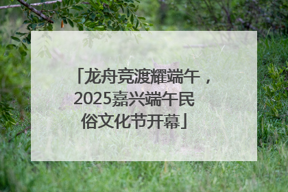 龙舟竞渡耀端午，2025嘉兴端午民俗文化节开幕
