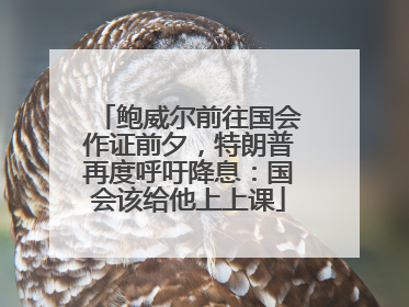 鲍威尔前往国会作证前夕，特朗普再度呼吁降息：国会该给他上上课