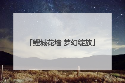 鲤城花墙 梦幻绽放