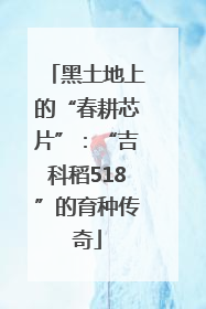 黑土地上的“春耕芯片”：“吉科稻518”的育种传奇