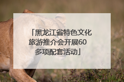 黑龙江省特色文化旅游推介会开展60多项配套活动