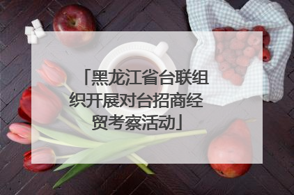 黑龙江省台联组织开展对台招商经贸考察活动