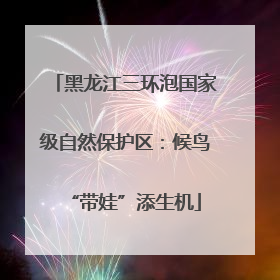 黑龙江三环泡国家级自然保护区：候鸟“带娃”添生机