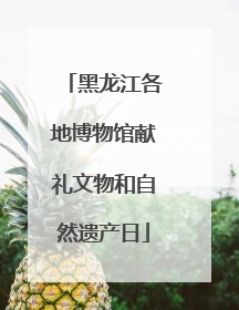 黑龙江各地博物馆献礼文物和自然遗产日