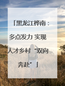 黑龙江桦南：多点发力 实现人才乡村“双向奔赴”