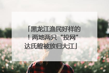 黑龙江渔民好样的！两地两只“投网”达氏鳇被放归大江