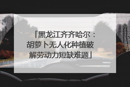 黑龙江齐齐哈尔：胡萝卜无人化种植破解劳动力短缺难题