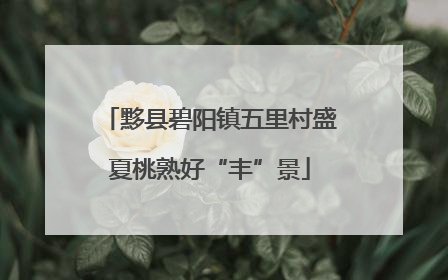黟县碧阳镇五里村盛夏桃熟好“丰”景