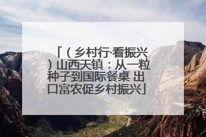 （乡村行·看振兴）山西天镇：从一粒种子到国际餐桌 出口富农促乡村振兴