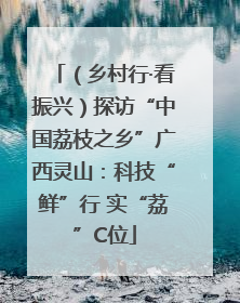 （乡村行·看振兴）探访“中国荔枝之乡”广西灵山：科技“鲜”行 实“荔”C位