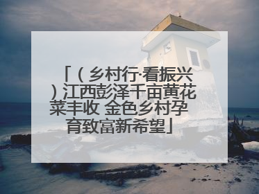 （乡村行·看振兴）江西彭泽千亩黄花菜丰收 金色乡村孕育致富新希望