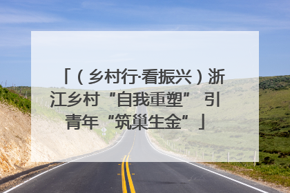（乡村行·看振兴）浙江乡村“自我重塑” 引青年“筑巢生金”