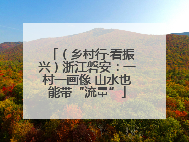 （乡村行·看振兴）浙江磐安：一村一画像 山水也能带“流量”