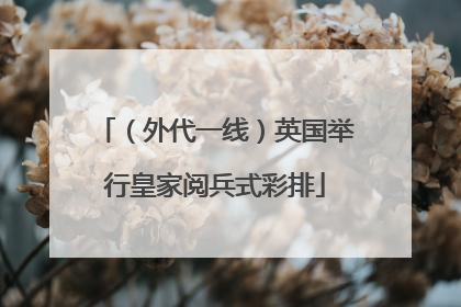 （外代一线）英国举行皇家阅兵式彩排