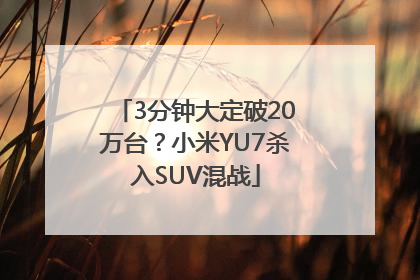 3分钟大定破20万台？小米YU7杀入SUV混战