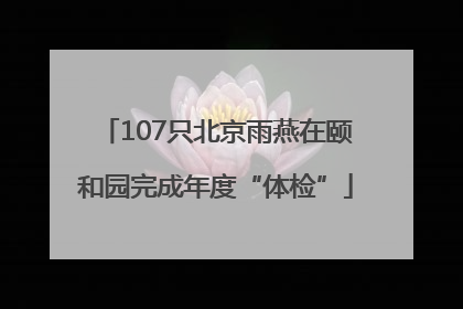 107只北京雨燕在颐和园完成年度“体检”