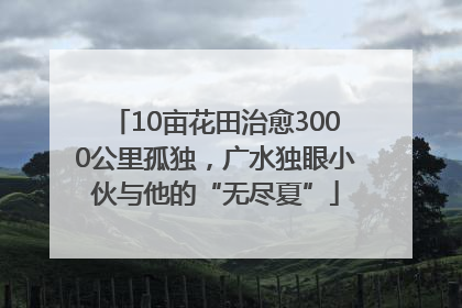 10亩花田治愈3000公里孤独，广水独眼小伙与他的“无尽夏”