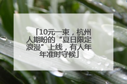 10元一束，杭州人期盼的“夏日限定浪漫”上线，有人年年准时守候
