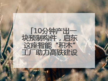 10分钟产出一块预制构件，启东这座智能“积木”工厂助力高铁建设再提速