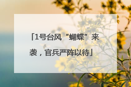 1号台风“蝴蝶”来袭，官兵严阵以待