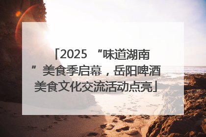 2025 “味道湖南”美食季启幕，岳阳啤酒美食文化交流活动点亮