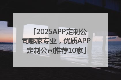 2025APP定制公司哪家专业，优质APP定制公司推荐10家