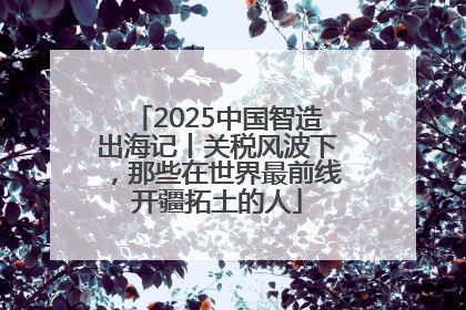 2025中国智造出海记丨关税风波下，那些在世界最前线开疆拓土的人