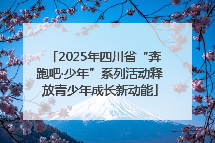 2025年四川省“奔跑吧·少年”系列活动释放青少年成长新动能