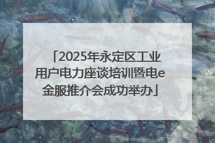 2025年永定区工业用户电力座谈培训暨电e金服推介会成功举办