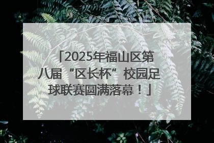 2025年福山区第八届“区长杯”校园足球联赛圆满落幕！